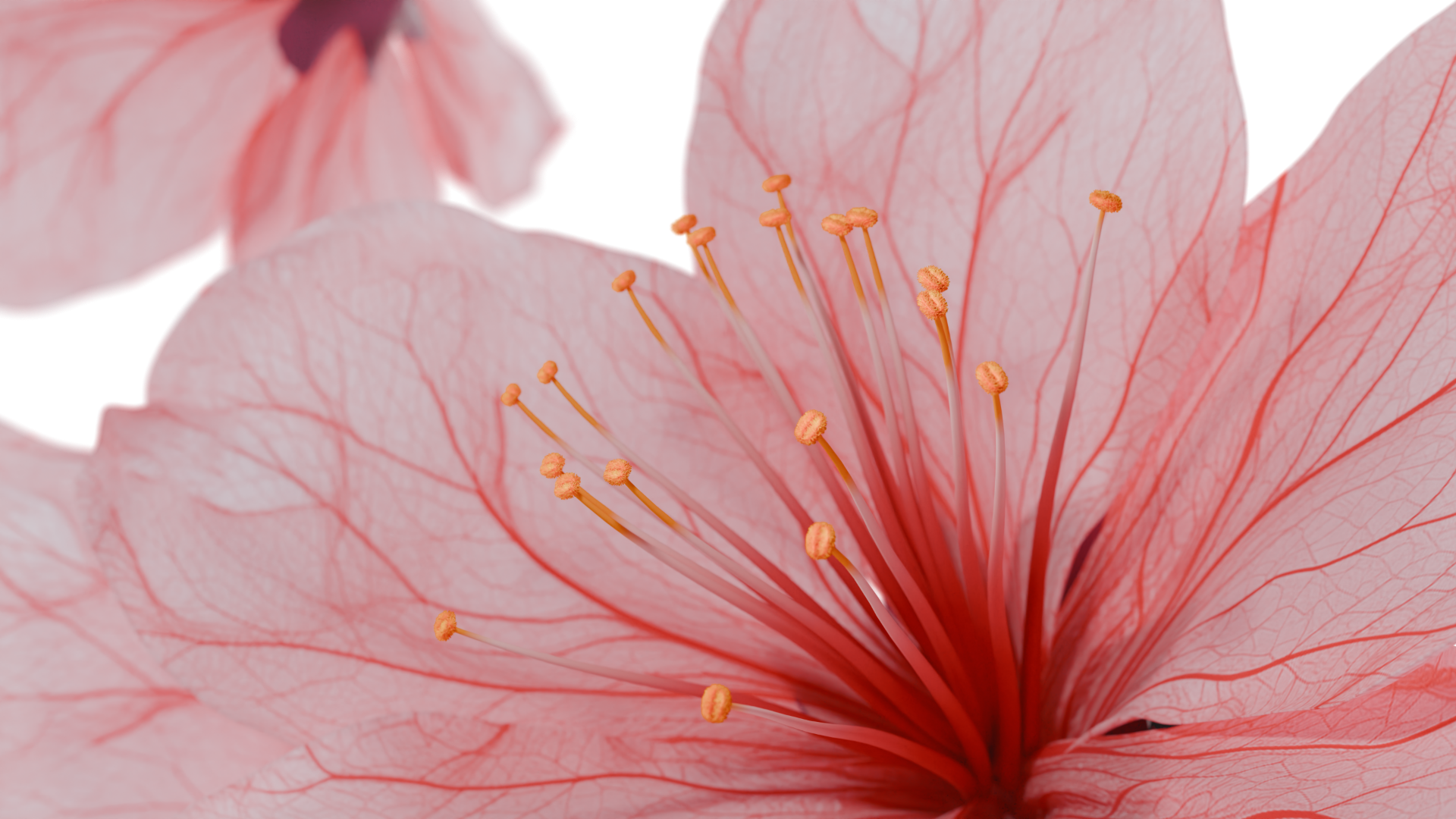 Elmia Garden (Novara Studio)